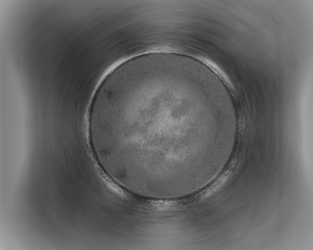 X0000113640854200909181455