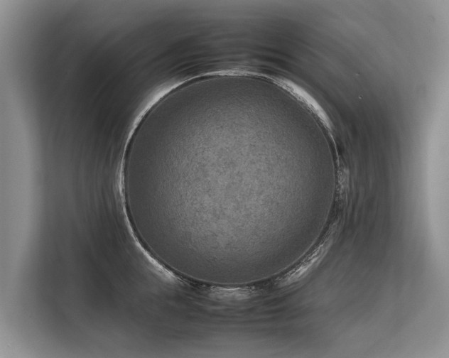 X0000113640855200909181455