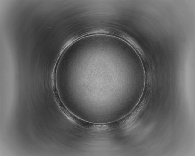 X0000113640858200909181455