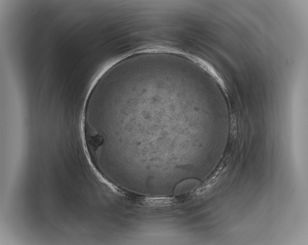 X0000113640863200909181455