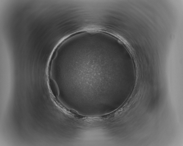 X0000113640864200909181455