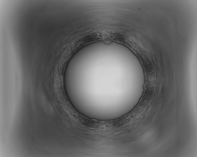 X0000113640865200909181454