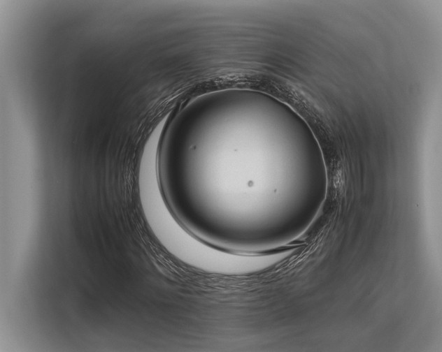 X0000113640868200909181454