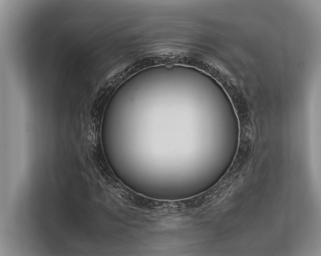 X0000113640869200909181454