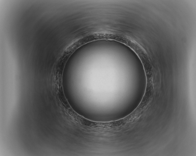 X0000113640870200909181454