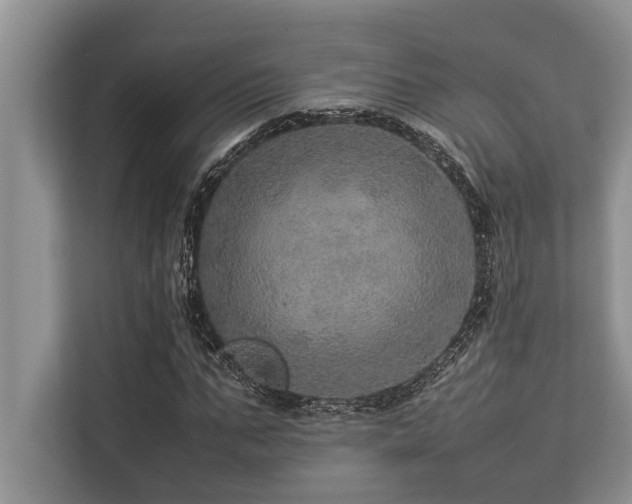 X0000113640871200909181454