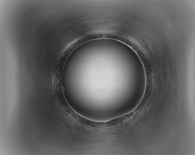 X0000113640872200909181454