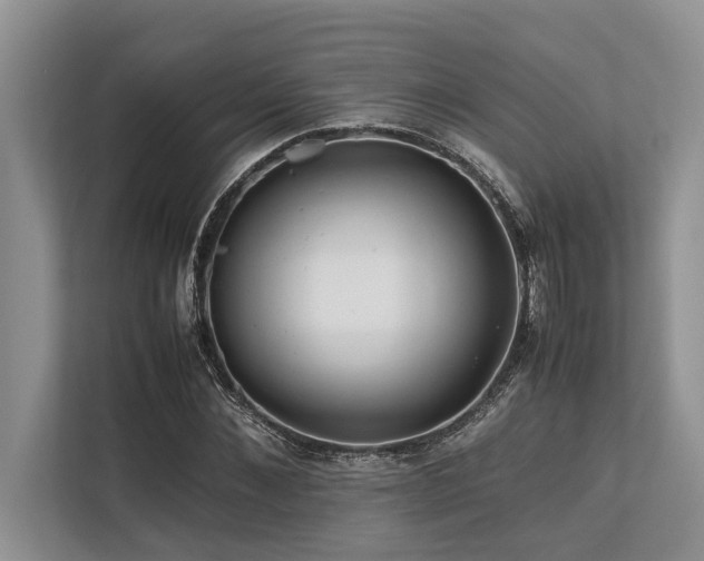 X0000113640876200909181454