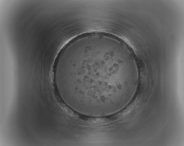 X0000113640879200909181454