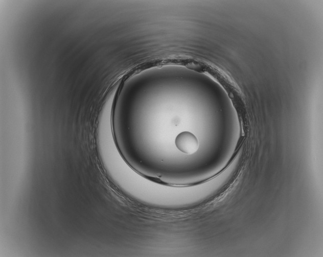 X0000113640881200909181454