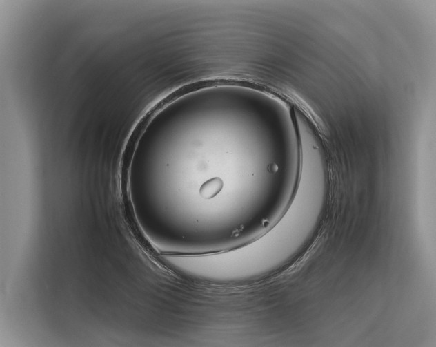 X0000113640884200909181454