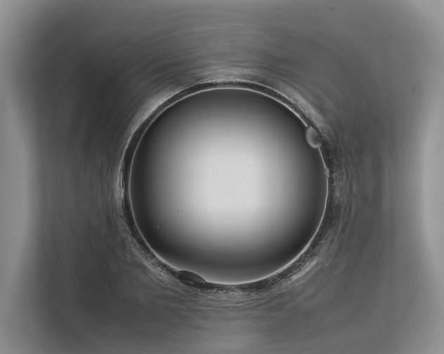 X0000113640885200909181454