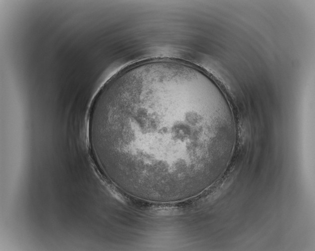 X0000113640886200909181454