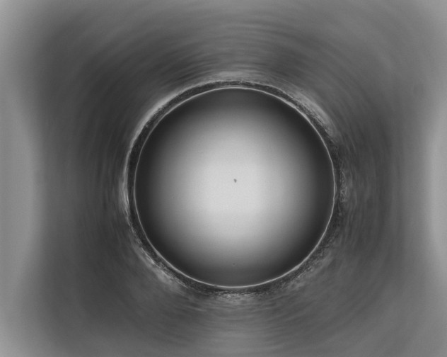 X0000113640888200909181454