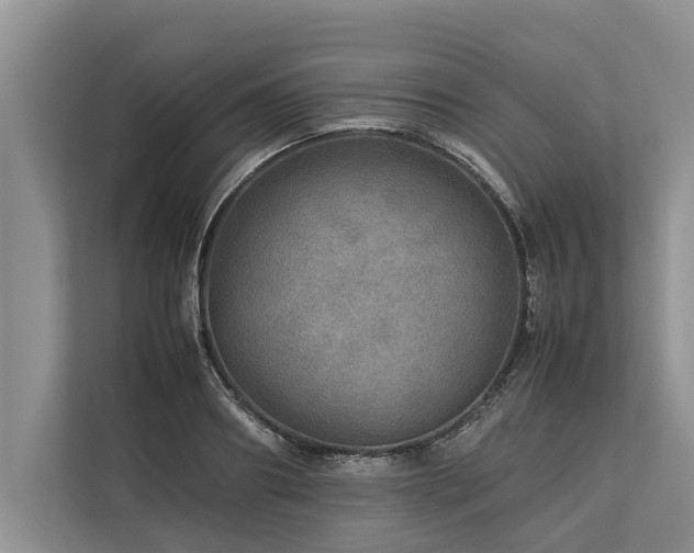 X0000113640890200909181454