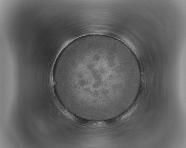 X0000113640891200909181454