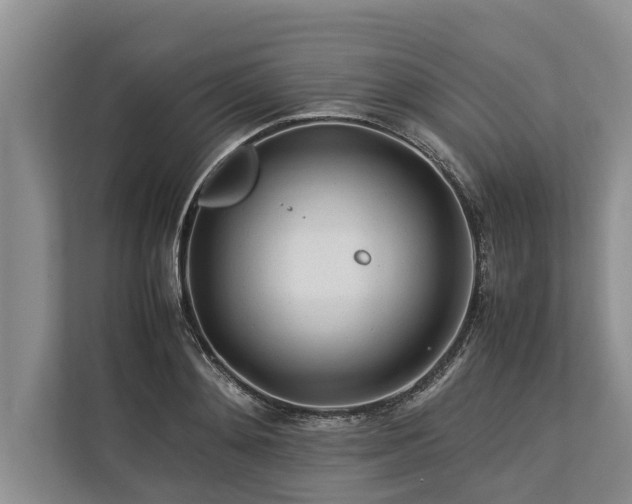 X0000113640892200909181454