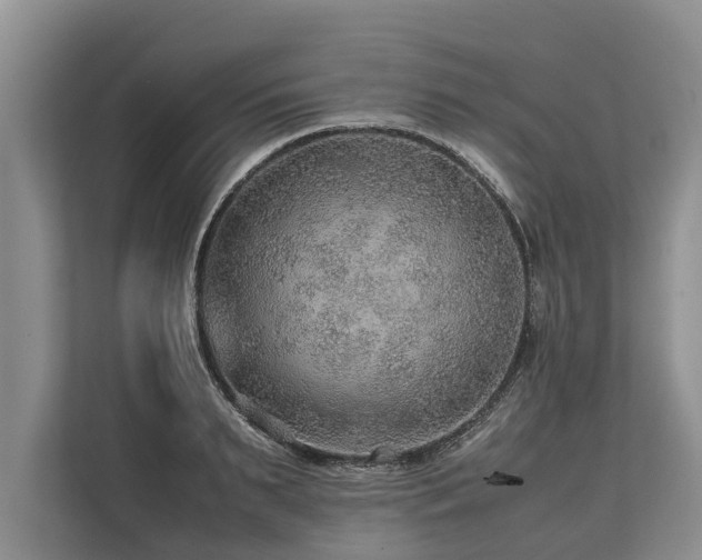 X0000113640895200909181454