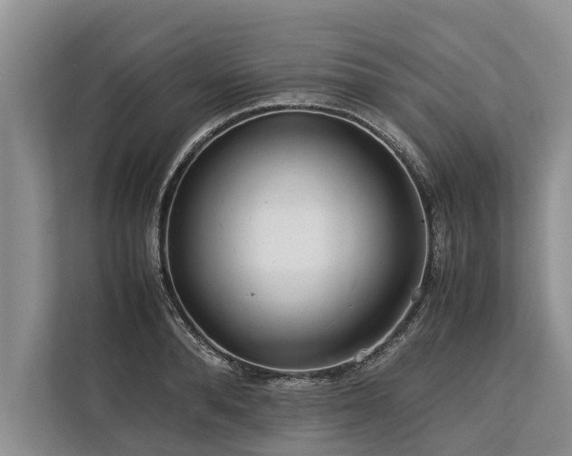 X0000113640896200909181454