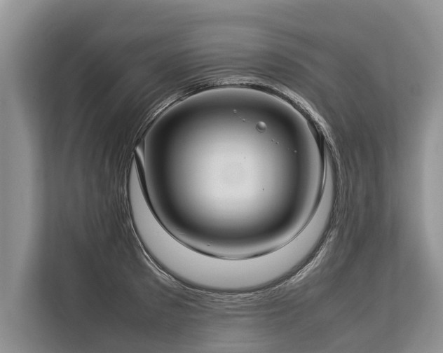 X0000113640897200909181454