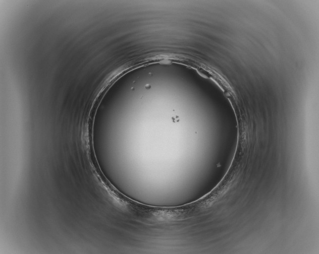 X0000113640898200909181454