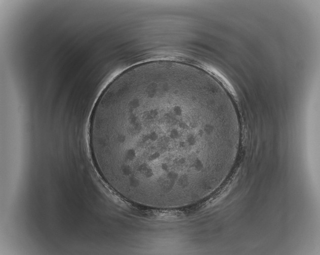 X0000113640899200909181454