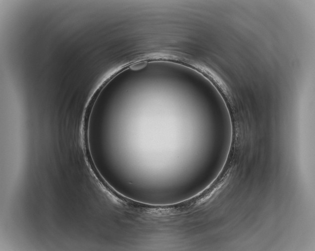 X0000113640902200909181454