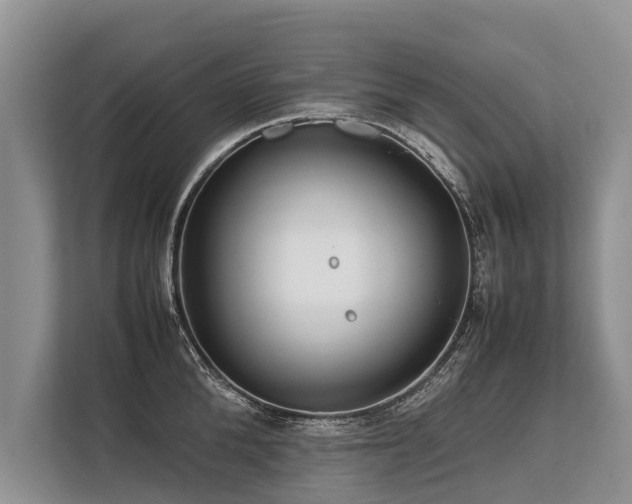 X0000113640904200909181454