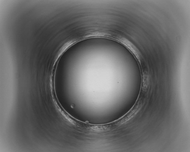 X0000113640906200909181454