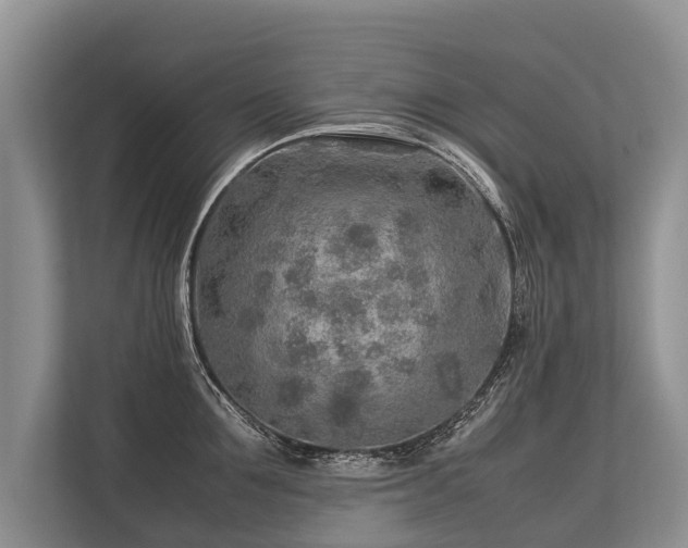 X0000113640907200909181454