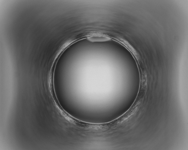 X0000113640909200909181454