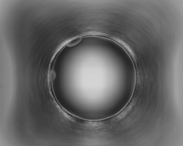 X0000113640910200909181454