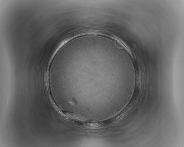 X0000113640911200909181454