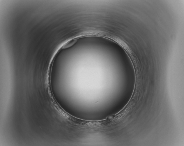 X0000113640912200909181454