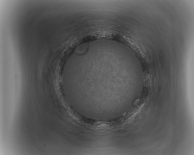 X0000113640913200909181453