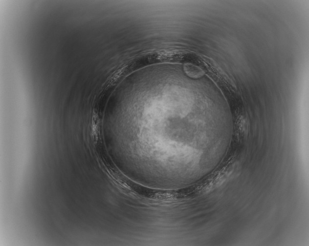 X0000113640914200909181453