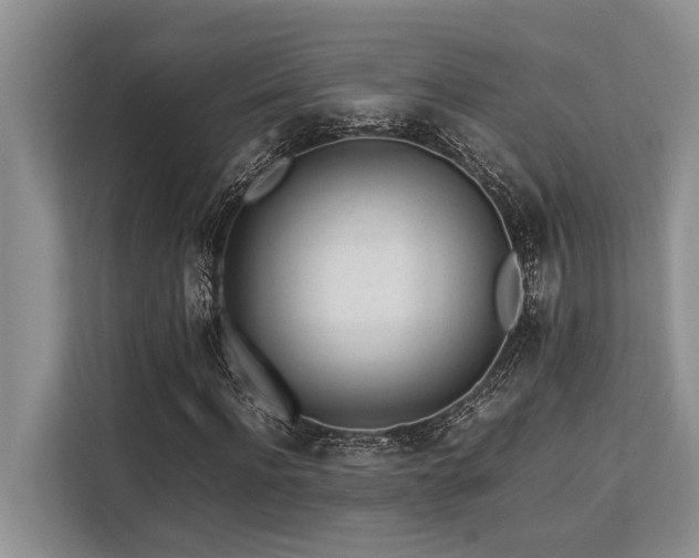 X0000113640916200909181453