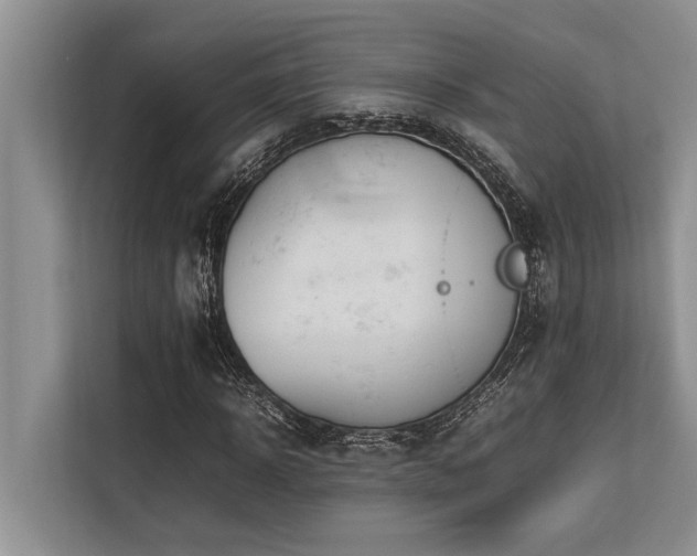 X0000113640918200909181453