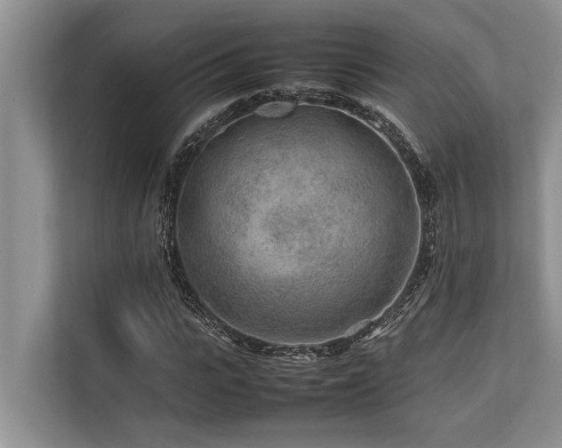 X0000113640919200909181453