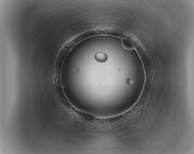 X0000113640920200909181453