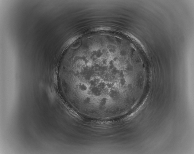 X0000113640921200909181453