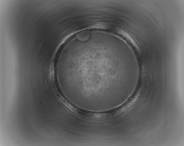 X0000113640923200909181453