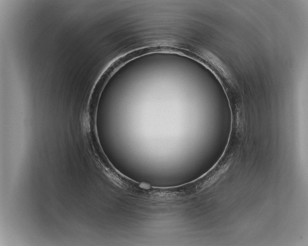 X0000113640924200909181453