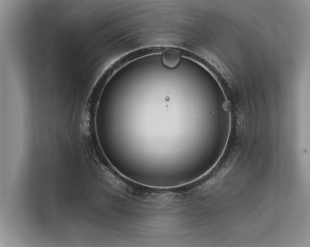 X0000113640926200909181453