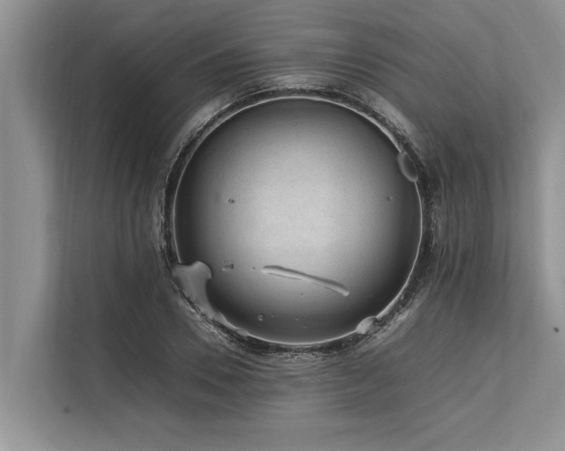 X0000113640930200909181453