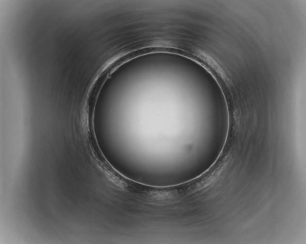 X0000113640931200909181454