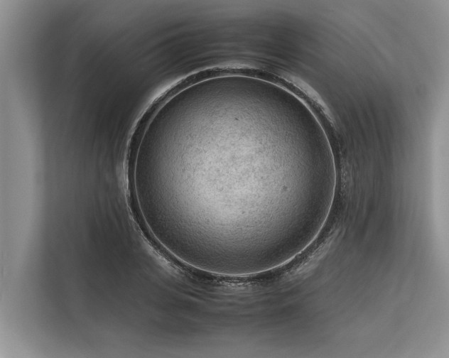 X0000113640935200909181454