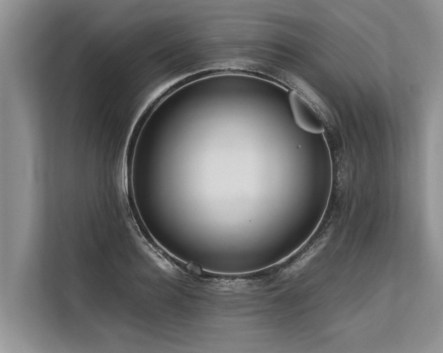 X0000113640940200909181454