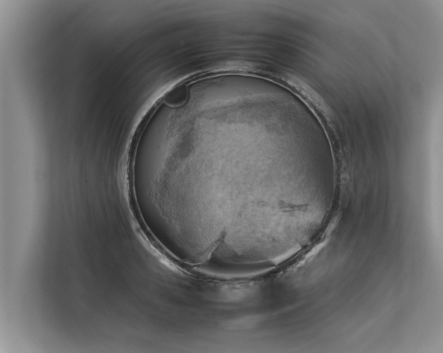 X0000113640941200909181454