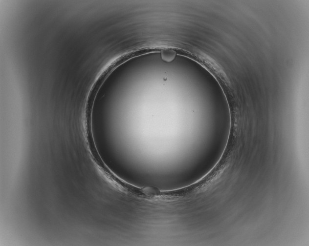 X0000113640942200909181454